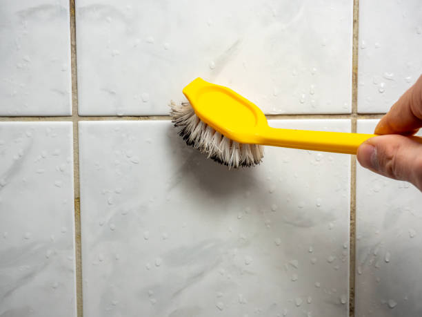 Best Mold Damage Repair  in Bargersville, IN