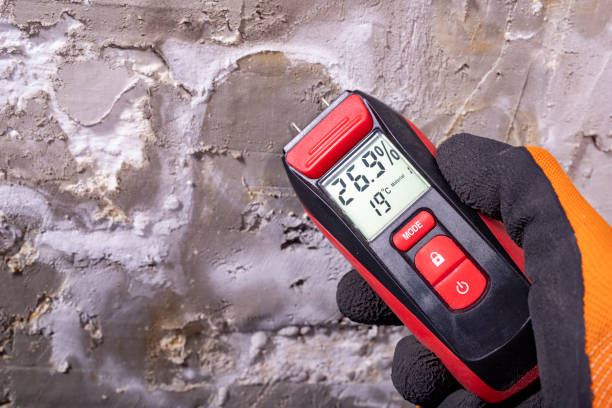 Best Mold Cleaning Services  in Bargersville, IN