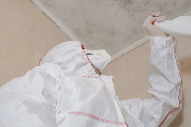 Best Professional Mold Removal  in Bargersville, IN
